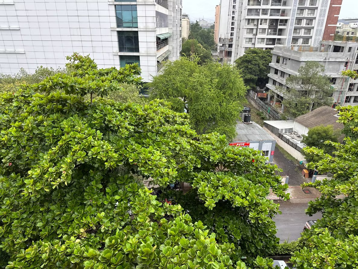 Casa Bella (Ganga5) – 5