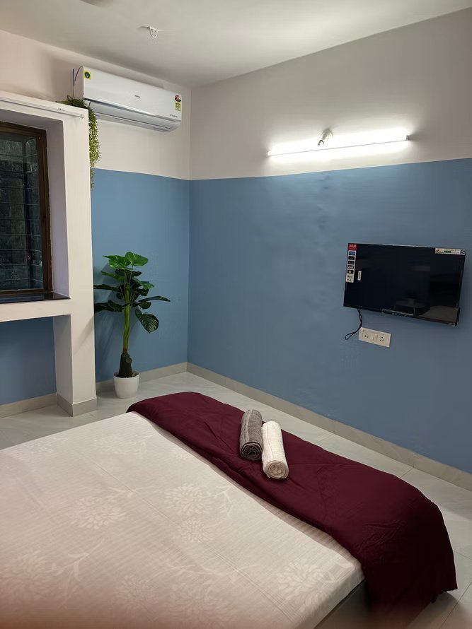 Ivory (Viman2) – 3