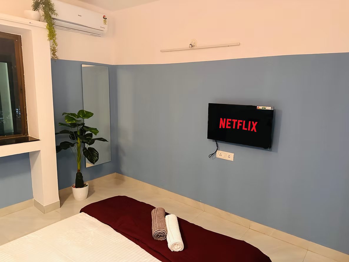 Ivory (Viman2) – 8