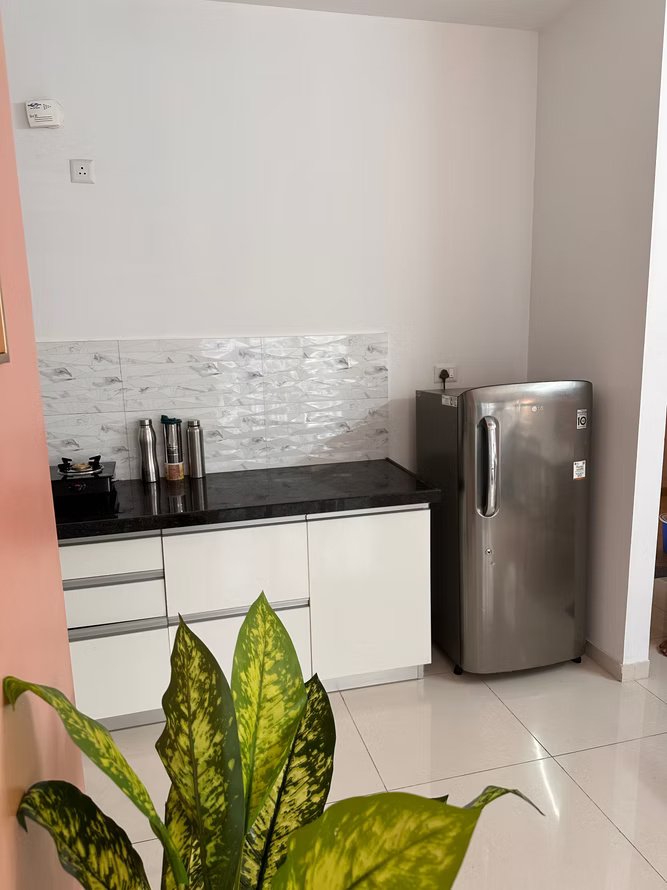 Mocha (Aamanora4 ) – 19